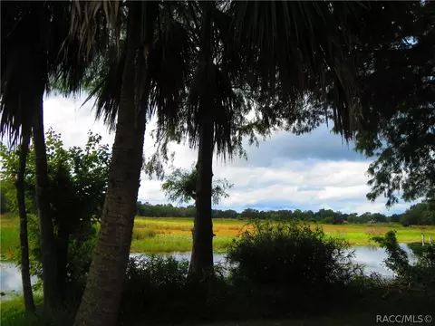 4420 E Shorewood Dr, Hernando, FL 34442 photo 5