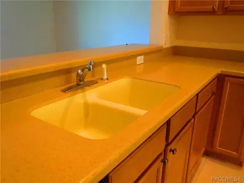 4420 E Shorewood Dr, Hernando, FL 34442 photo 13