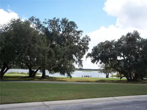 3792 E Kiwi Cove Ct, Hernando, FL 34442 photo 28