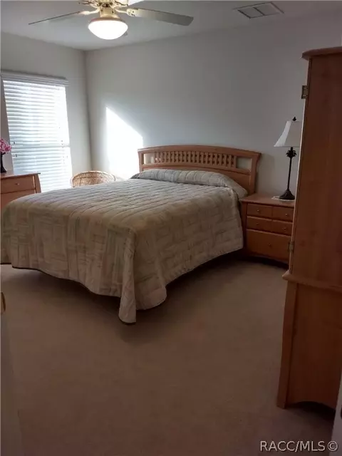 3792 E Kiwi Cove Ct, Hernando, FL 34442 photo 38