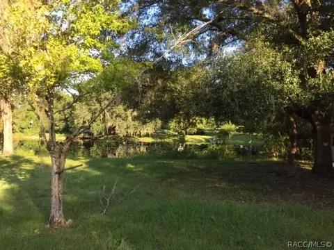 3937 E Gloria Dr, Hernando, FL 34442 photo 9