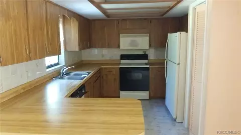 3937 E Gloria Dr, Hernando, FL 34442 photo 3