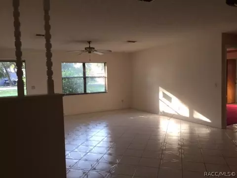 3937 E Gloria Dr, Hernando, FL 34442 photo 8