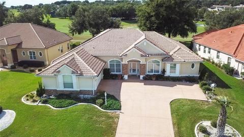 35 W Mickey Mantle Path, Hernando, FL 34442 photo 45