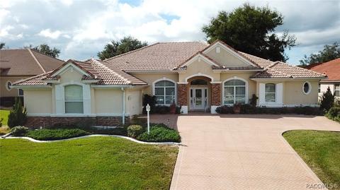 35 W Mickey Mantle Path, Hernando, FL 34442 photo 1