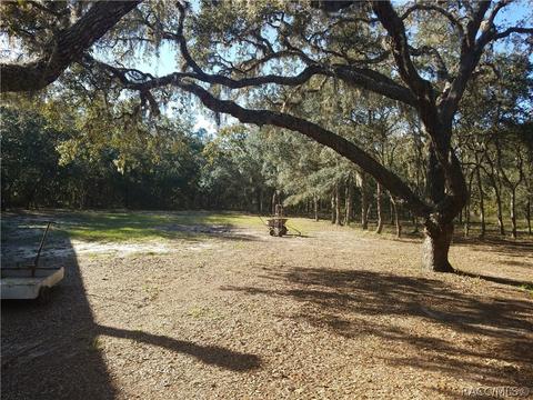 863 E La Salle St, Hernando, FL 34442 photo 6