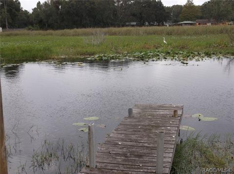 9225 E Beech Cir, Inverness, FL 34452 photo 1