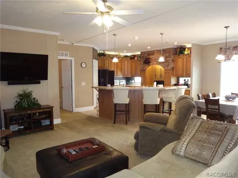 294 E Benjamin St, Hernando, FL 34442 photo 6