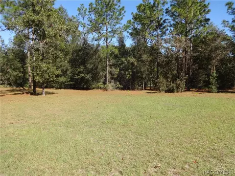 294 E Benjamin St, Hernando, FL 34442 photo 37