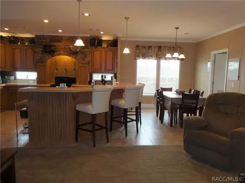 294 E Benjamin St, Hernando, FL 34442 photo 12