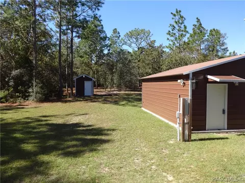 294 E Benjamin St, Hernando, FL 34442 photo 30