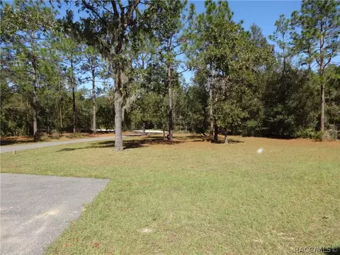 294 E Benjamin St, Hernando, FL 34442 photo 36