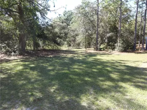 294 E Benjamin St, Hernando, FL 34442 photo 34