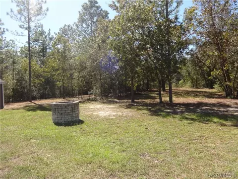 294 E Benjamin St, Hernando, FL 34442 photo 35