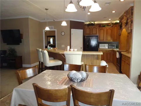 294 E Benjamin St, Hernando, FL 34442 photo 11