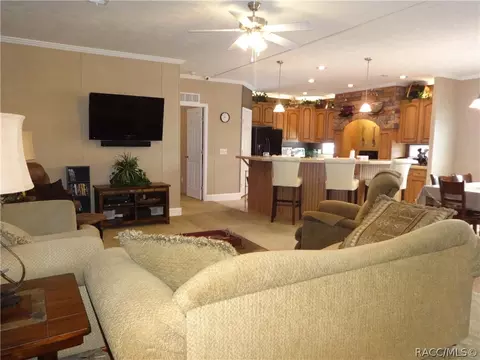 294 E Benjamin St, Hernando, FL 34442 photo 2