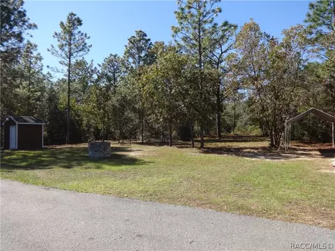 294 E Benjamin St, Hernando, FL 34442 photo 38