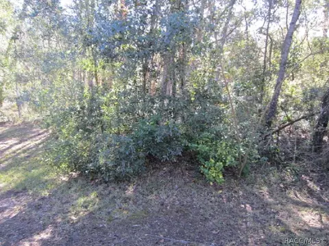 720 W Olympia St, Hernando, FL 34442 photo 37