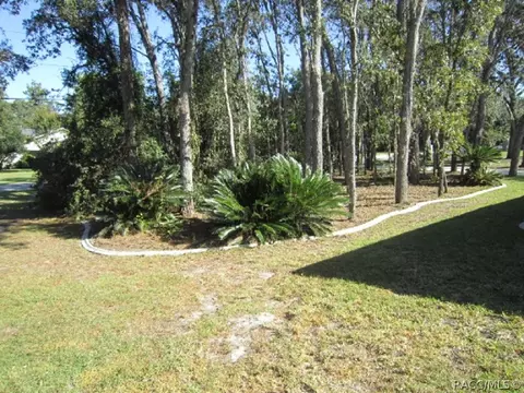 720 W Olympia St, Hernando, FL 34442 photo 38