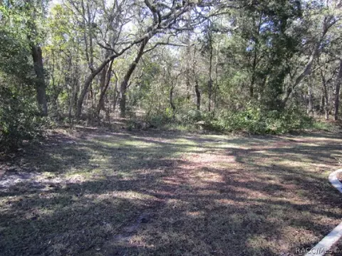 720 W Olympia St, Hernando, FL 34442 photo 36