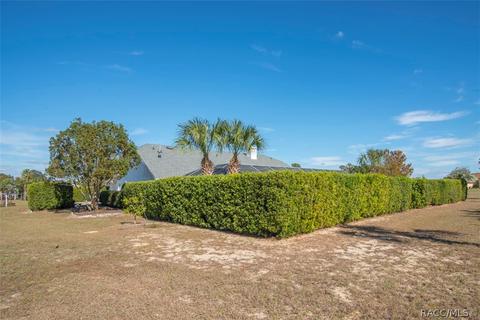 1178 E Liberty St, Hernando, FL 34442 photo 49
