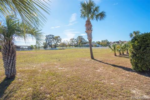 1178 E Liberty St, Hernando, FL 34442 photo 50