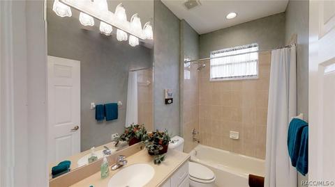 167 W Mickey Mantle Path, Hernando, FL 34442 photo 29