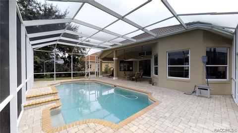 167 W Mickey Mantle Path, Hernando, FL 34442 photo 35
