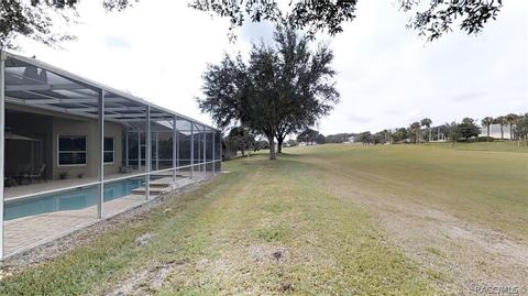167 W Mickey Mantle Path, Hernando, FL 34442 photo 11