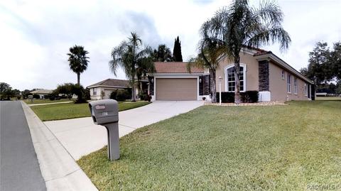 167 W Mickey Mantle Path, Hernando, FL 34442 photo 2