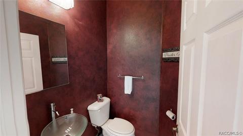 167 W Mickey Mantle Path, Hernando, FL 34442 photo 27