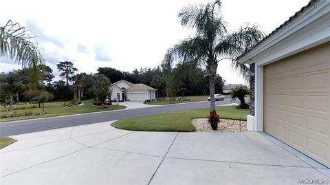 167 W Mickey Mantle Path, Hernando, FL 34442 photo 5