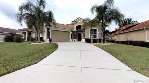 167 W Mickey Mantle Path, Hernando, FL 34442 photo 3