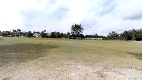 167 W Mickey Mantle Path, Hernando, FL 34442 photo 12