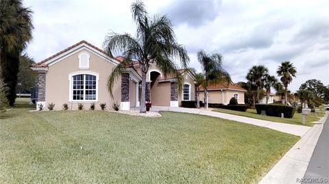 167 W Mickey Mantle Path, Hernando, FL 34442 photo 1