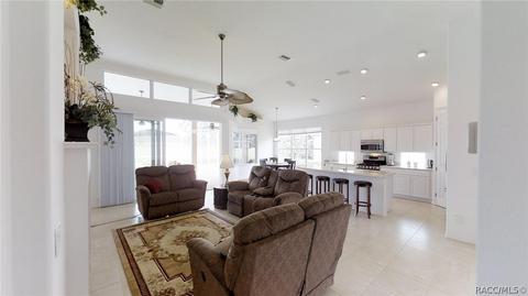 167 W Mickey Mantle Path, Hernando, FL 34442 photo 19