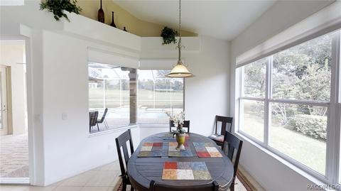 167 W Mickey Mantle Path, Hernando, FL 34442 photo 20
