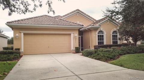 1311 W Skyview Crossing Dr, Hernando, FL 34442 photo 1