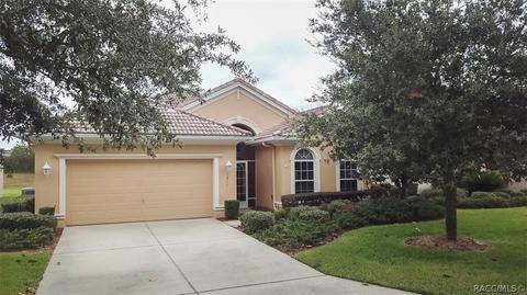 1311 W Skyview Crossing Dr, Hernando, FL 34442 photo 2