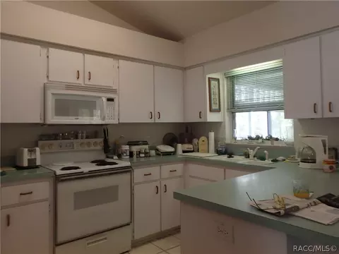 263 E Reehill St, Lecanto, FL 34461 photo 11