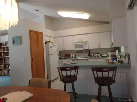 263 E Reehill St, Lecanto, FL 34461 photo 10