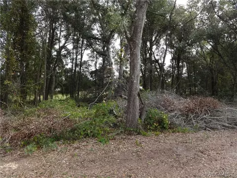 2109 N Picnic Pt, Hernando, FL 34442 photo 1