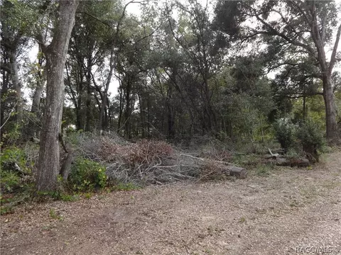 2109 N Picnic Pt, Hernando, FL 34442 photo 4