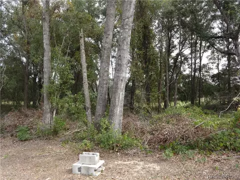 2109 N Picnic Pt, Hernando, FL 34442 photo 3