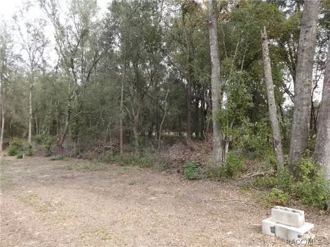 2109 N Picnic Pt, Hernando, FL 34442 photo 2