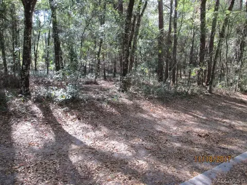 6506 E Glover St, Inverness, FL 34452 photo 2