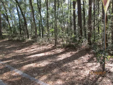 6506 E Glover St, Inverness, FL 34452 photo 3