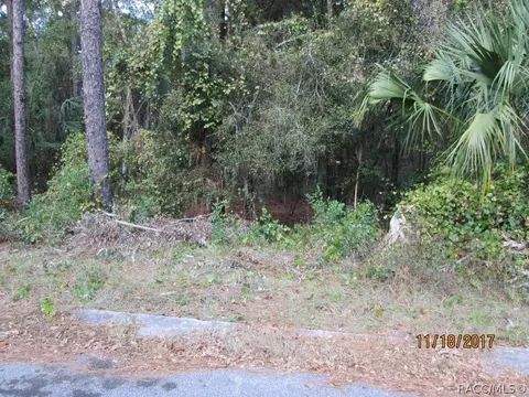 6507 E Gurley St, Inverness, FL 34452 photo 1