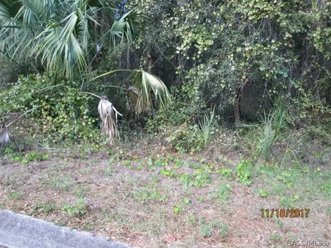 6507 E Gurley St, Inverness, FL 34452 photo 3