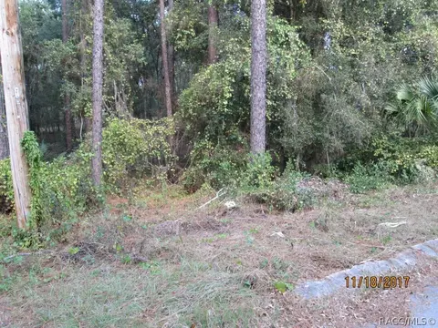 6507 E Gurley St, Inverness, FL 34452 photo 2